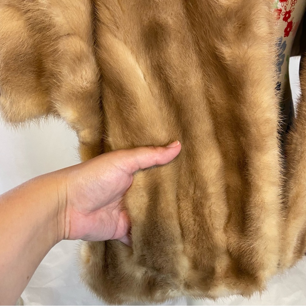Vintage Halle Bros. Fur Wrap - Picture 6 of 9